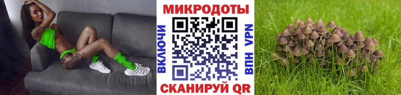 OMG ссылки  Елабуга  Псилоцибиновые грибы Psilocybine cubensis 