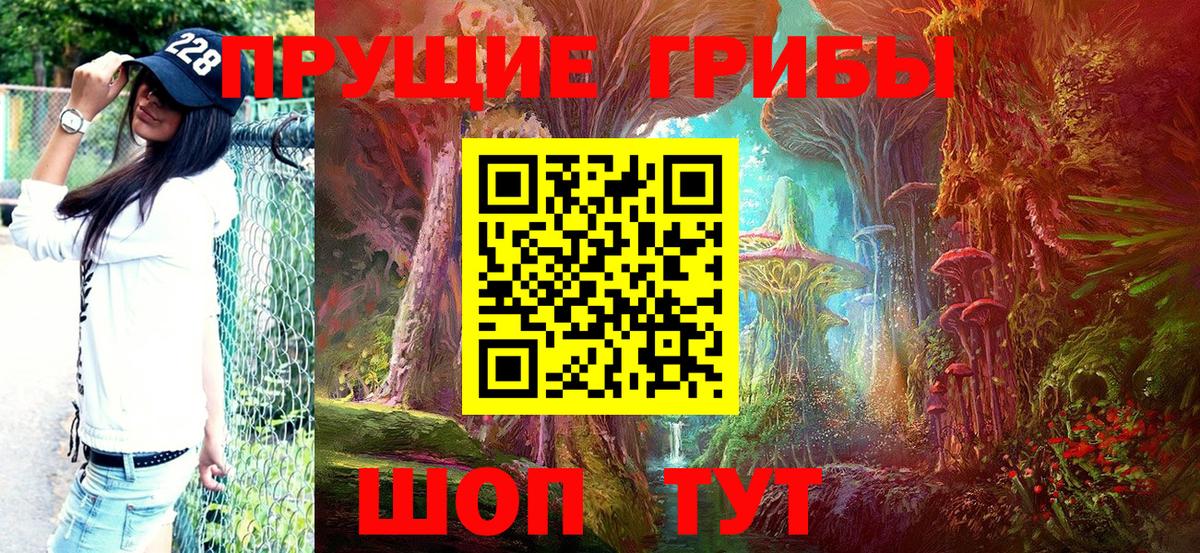 Елабуга  Псилоцибиновые грибы MAGIC MUSHROOMS  Вход с VPN 