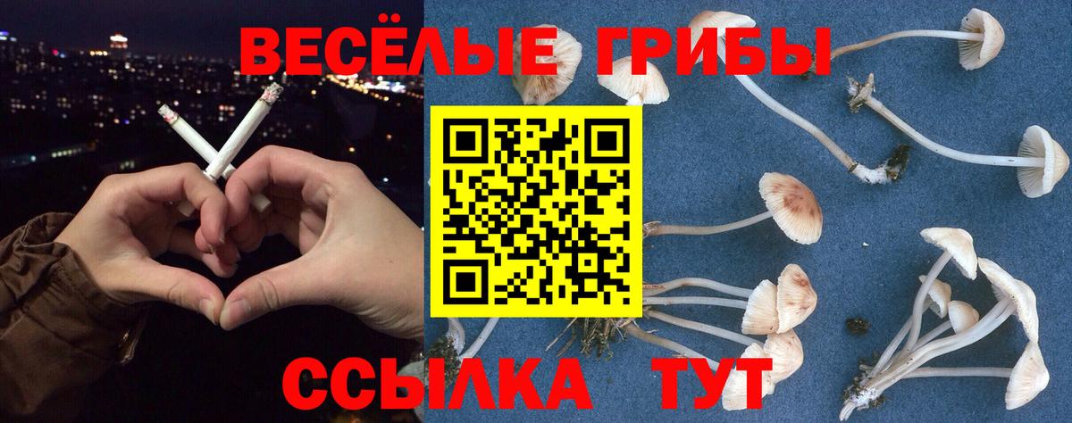 Псилоцибиновые грибы мицелий  Елабуга 